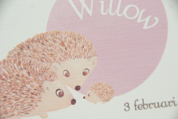 geboortekaartje willow lichtroze